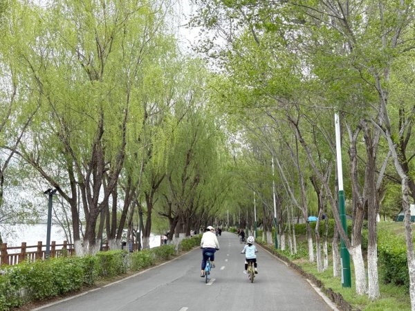 千层金配资 沉浸体验·AI上岗·治愈经济——这个“五一”文旅消费吹新风