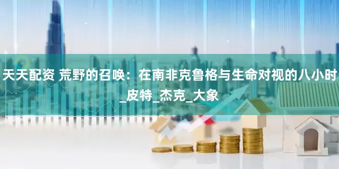 天天配资 荒野的召唤：在南非克鲁格与生命对视的八小时_皮特_杰克_大象