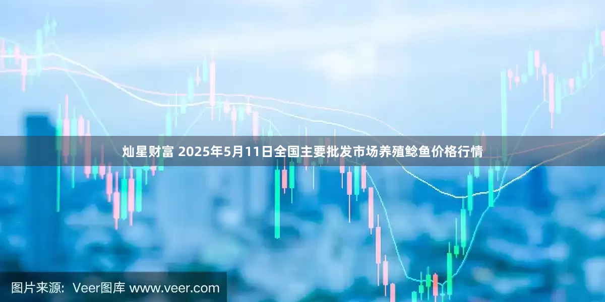 灿星财富 2025年5月11日全国主要批发市场养殖鲶鱼价格行情