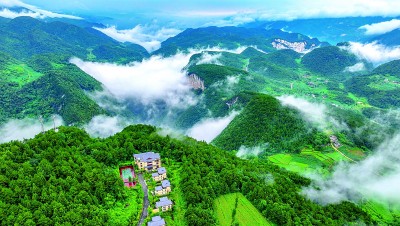策略赢  重庆市涪陵区武陵山镇乐道村：武陵山上避暑经济热