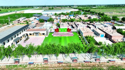 元宝枫资本  宁夏石嘴山市惠农区庙台乡东永固村：贺兰山下枸杞产业红
