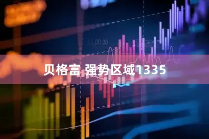 贝格富 强势区域1335