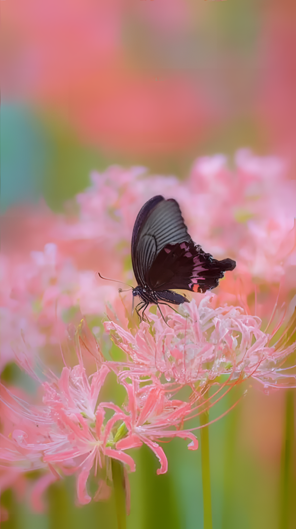 财盛配资 做好人生的减法，是余生最好的活法